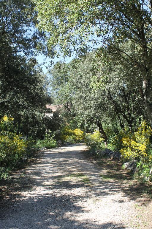A L'Est D'Uzes Villa Saint-Siffret Exterior foto